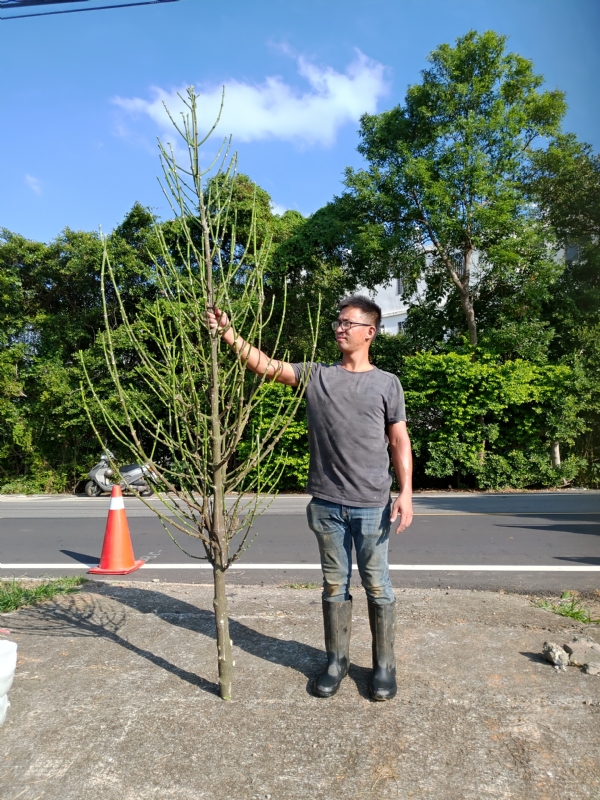 jeff的第二张照片--建宁婚介网
