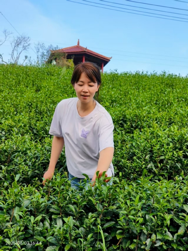 Q绮芳的第一张照片--建宁婚介网